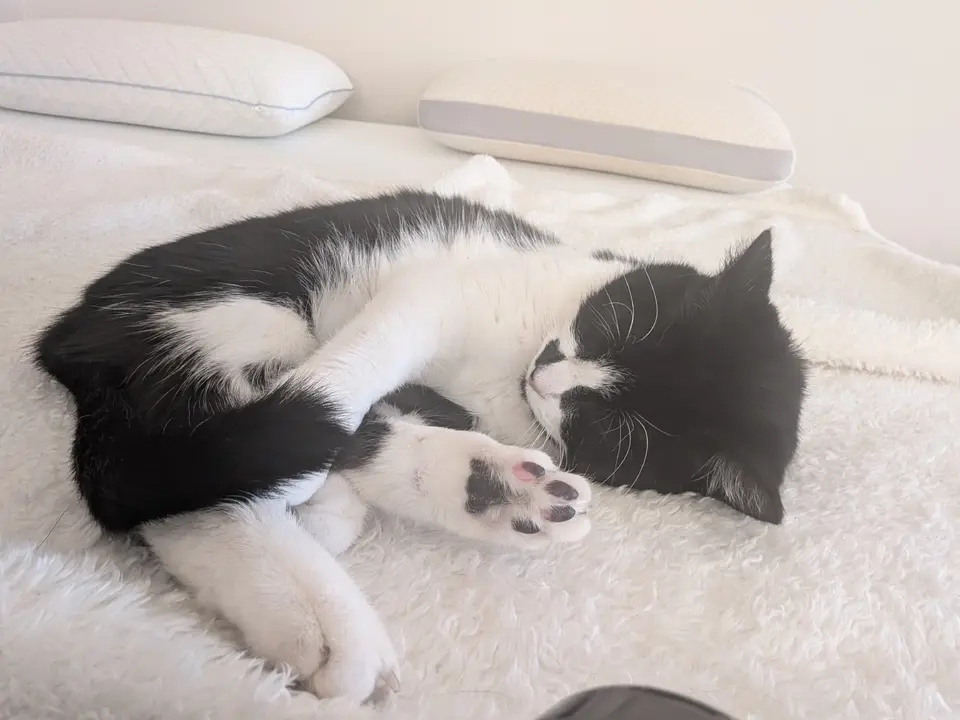 Zoe